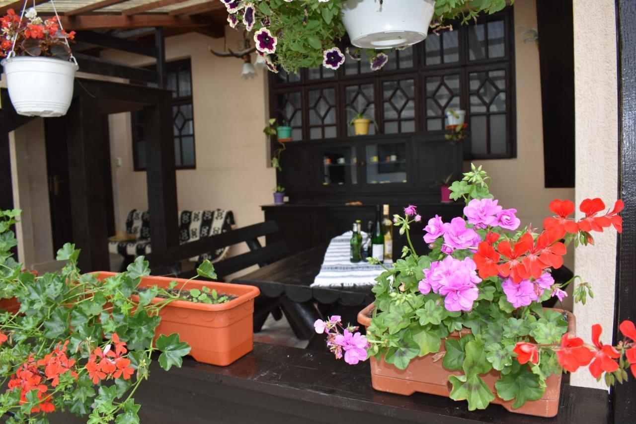 Clematis House Villa Voronet Exterior photo
