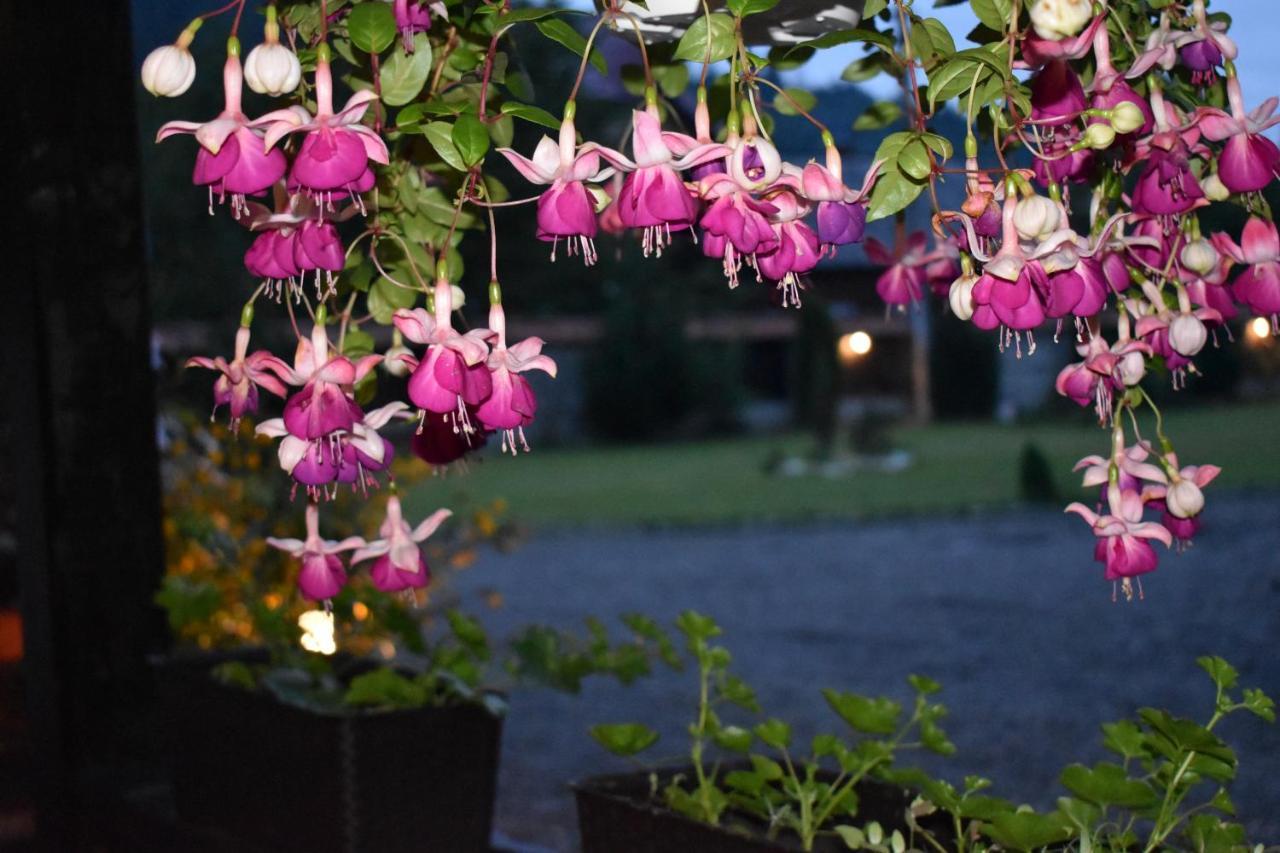 Clematis House Villa Voronet Exterior photo